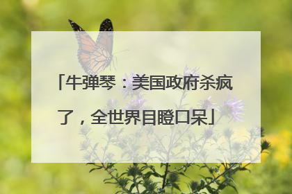 牛弹琴：美国政府杀疯了，全世界目瞪口呆