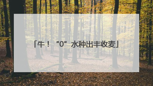 牛！“0”水种出丰收麦