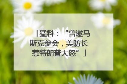 猛料：“曾邀马斯克参会，美防长惹特朗普大怒”