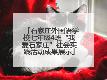 石家庄外国语学校七年级4班“我爱石家庄”社会实践活动成果展示