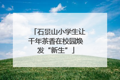 石景山小学生让千年茶香在校园焕发“新生”