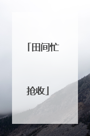 田间忙抢收