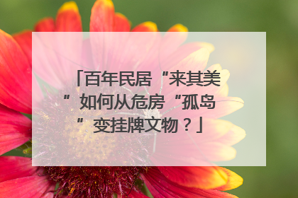 百年民居“来其美”如何从危房“孤岛”变挂牌文物？