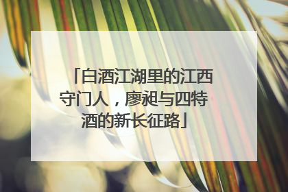 白酒江湖里的江西守门人，廖昶与四特酒的新长征路
