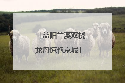 益阳兰溪双桡龙舟惊艳京城