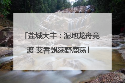盐城大丰：湿地龙舟竞渡 艾香飘荡野鹿荡