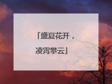 盛夏花开，凌霄攀云