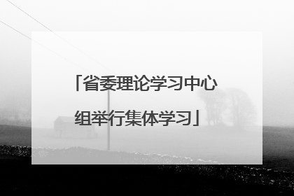 省委理论学习中心组举行集体学习