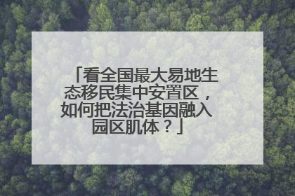 看全国最大易地生态移民集中安置区，如何把法治基因融入园区肌体？