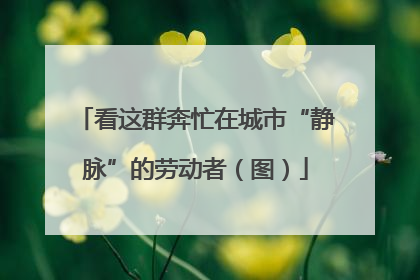 看这群奔忙在城市“静脉”的劳动者（图）