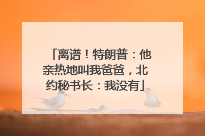 离谱！特朗普：他亲热地叫我爸爸，北约秘书长：我没有