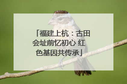 福建上杭：古田会址前忆初心 红色基因共传承
