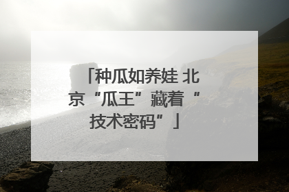 种瓜如养娃 北京“瓜王”藏着“技术密码”