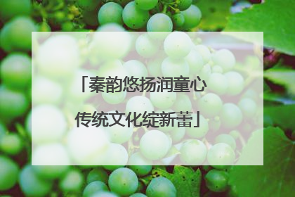 秦韵悠扬润童心 传统文化绽新蕾