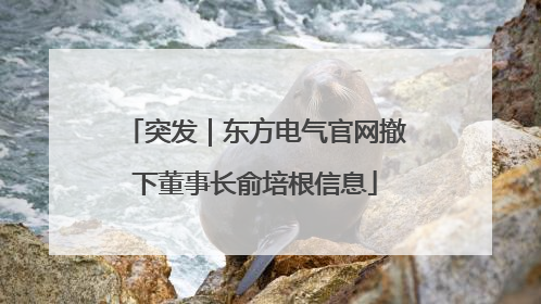 突发｜东方电气官网撤下董事长俞培根信息
