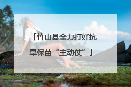 竹山县全力打好抗旱保苗“主动仗”