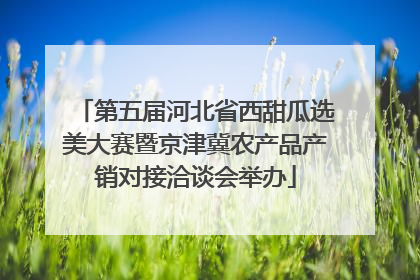 第五届河北省西甜瓜选美大赛暨京津冀农产品产销对接洽谈会举办