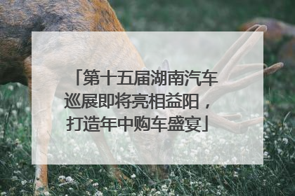 第十五届湖南汽车巡展即将亮相益阳，打造年中购车盛宴