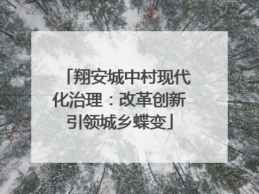 翔安城中村现代化治理：改革创新引领城乡蝶变