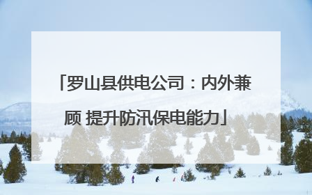 罗山县供电公司：内外兼顾 提升防汛保电能力