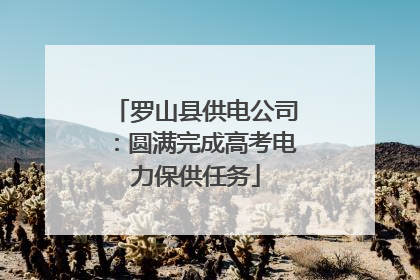罗山县供电公司：圆满完成高考电力保供任务