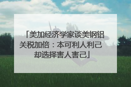 美加经济学家谈美钢铝关税加倍：本可利人利己 却选择害人害己