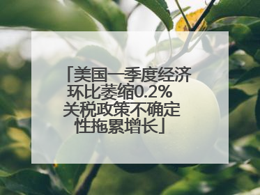 美国一季度经济环比萎缩0.2% 关税政策不确定性拖累增长