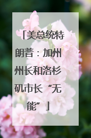 美总统特朗普：加州州长和洛杉矶市长“无能”