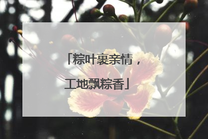 粽叶裹亲情，工地飘粽香