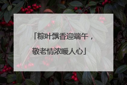 粽叶飘香迎端午，敬老情浓暖人心