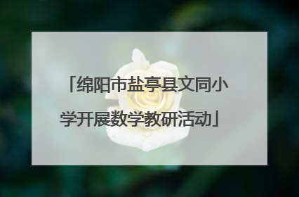 绵阳市盐亭县文同小学开展数学教研活动