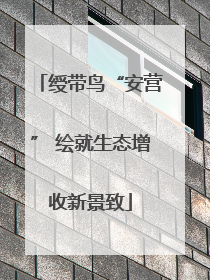 绶带鸟“安营” 绘就生态增收新景致