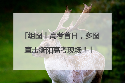 组图丨高考首日，多图直击衡阳高考现场！