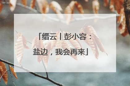 缙云丨彭小容：盐边，我会再来