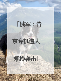 俄军：普京专机遭大规模袭击