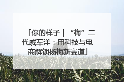 你的样子｜“梅”二代戚军洋：用科技与电商解锁杨梅新赛道