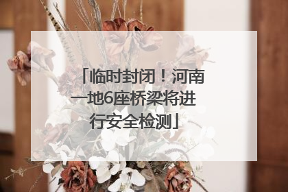 临时封闭！河南一地6座桥梁将进行安全检测