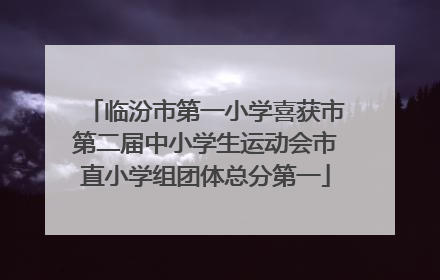 临汾市第一小学喜获市第二届中小学生运动会市直小学组团体总分第一