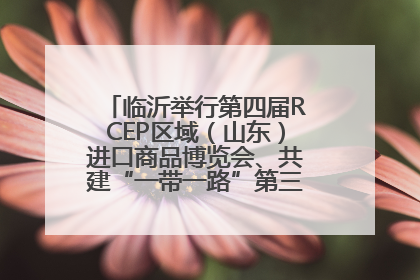 临沂举行第四届RCEP区域（山东）进口商品博览会、共建“一带一路”第三届临沂商城国际采购商大会新闻发布会