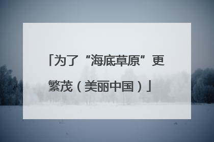 为了“海底草原”更繁茂（美丽中国）