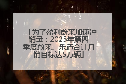为了盈利蔚来加速冲销量：2025年第四季度蔚来、乐道合计月销目标达5万辆