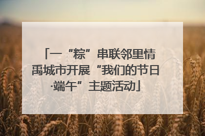 一“粽”串联邻里情 禹城市开展“我们的节日·端午”主题活动