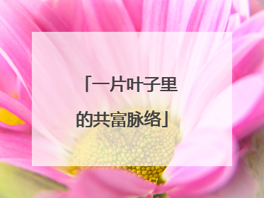 一片叶子里的共富脉络