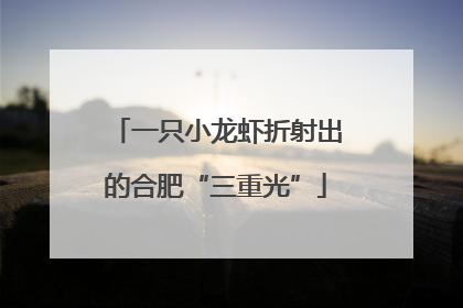 一只小龙虾折射出的合肥“三重光”