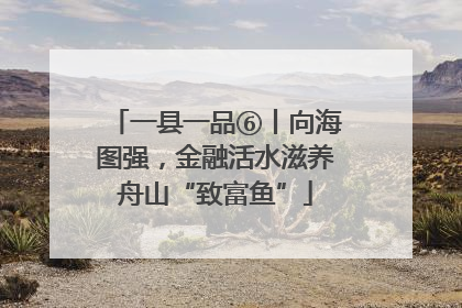 一县一品⑥丨向海图强，金融活水滋养舟山“致富鱼”