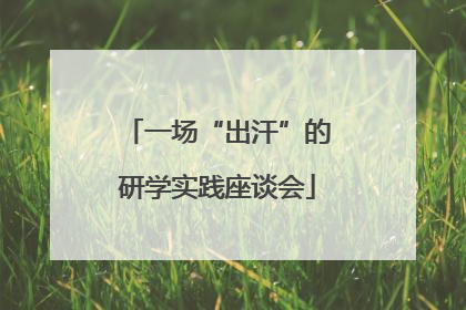 一场“出汗”的研学实践座谈会