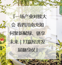 一场产业对接大会 看四川南充如何聚新赋绿、链享未来｜打赢经济发展翻身仗