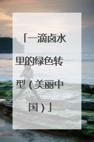 一滴卤水里的绿色转型（美丽中国）