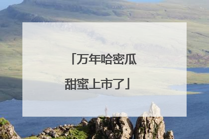 万年哈密瓜甜蜜上市了