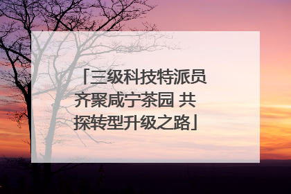 三级科技特派员齐聚咸宁茶园 共探转型升级之路